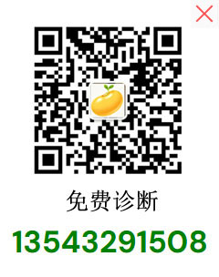 GEO优化顾问